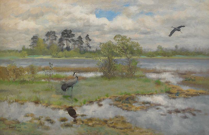 bruno liljefors Landscape With Cranes at the Water Sweden oil painting art
